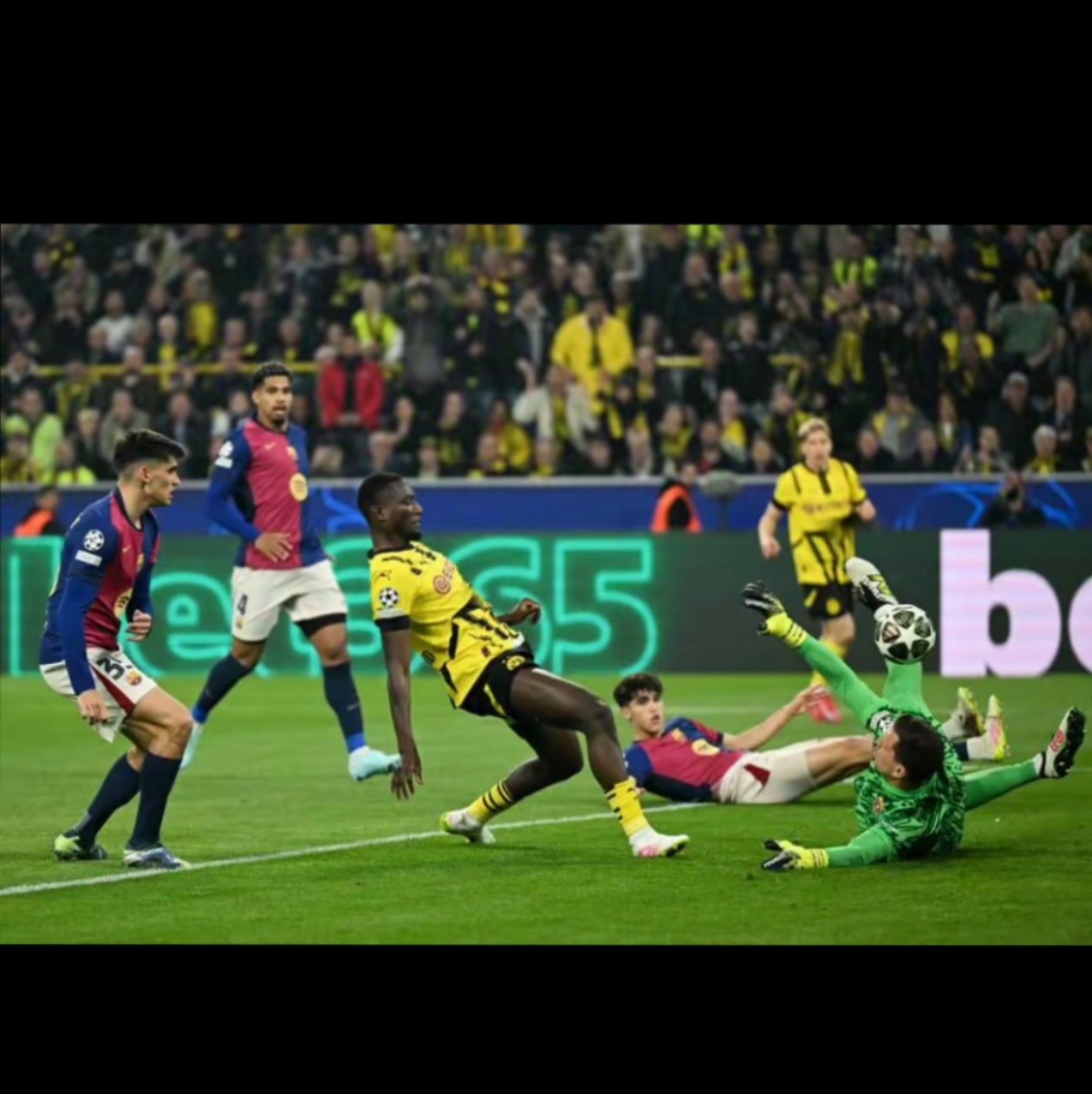 窗口期多伦多猛龙备战欧冠，外线爆发细节曝光，震撼外界，年轻球员得到机会(多伦多猛龙队怎么样)-九游平台